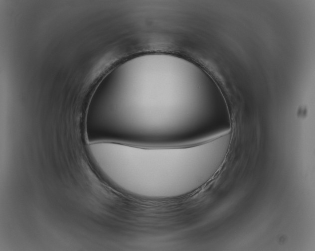 X0000093450154200710121013