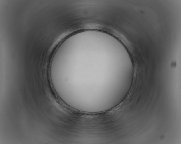 X0000093450155200710121013