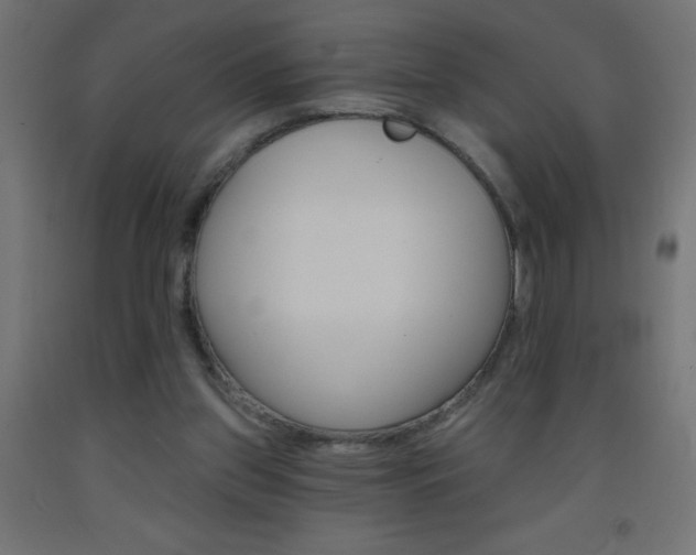X0000093450157200710121013