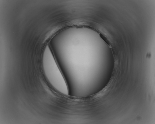 X0000093450158200710121013
