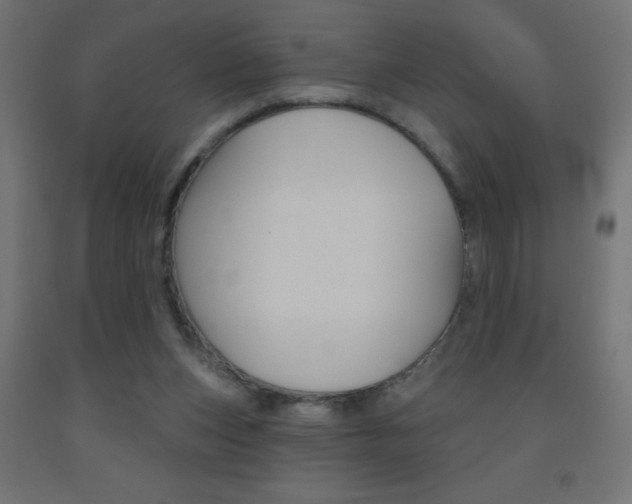 X0000093450159200710121013
