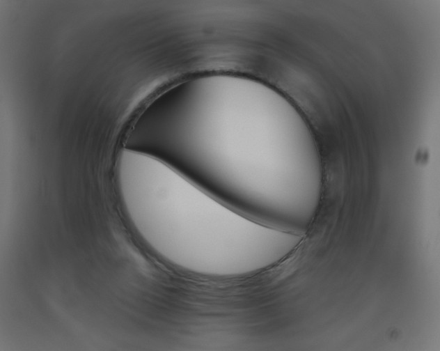 X0000093450160200710121013
