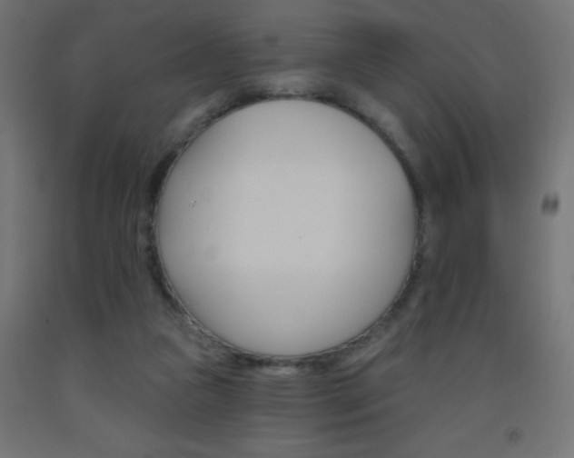 X0000093450161200710121013