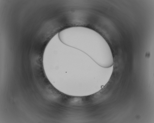 X0000093450162200710121013