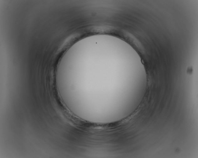 X0000093450163200710121013
