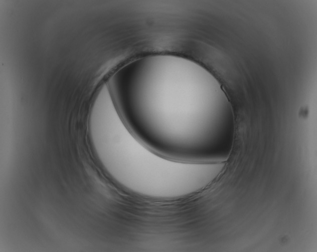 X0000093450164200710121013