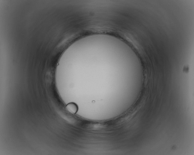 X0000093450165200710121013