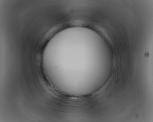 X0000093450167200710121013