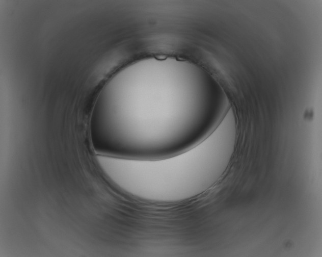 X0000093450168200710121013
