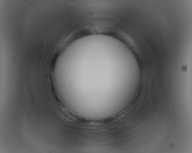 X0000093450169200710121013