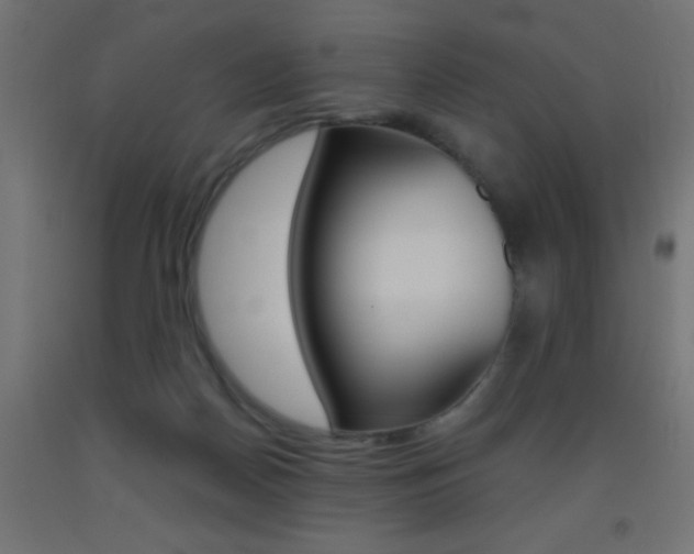 X0000093450170200710121013
