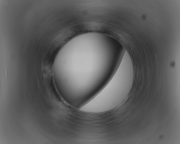 X0000093450172200710121013