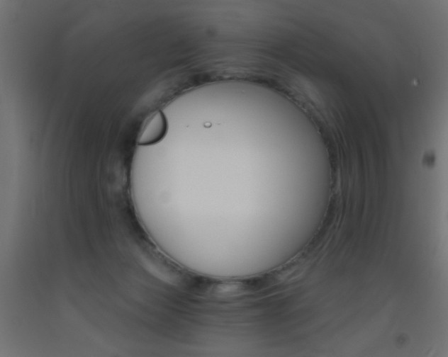 X0000093450173200710121013