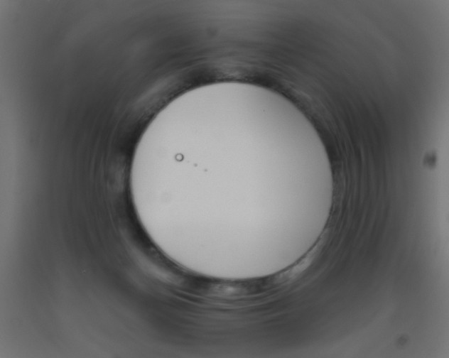 X0000093450174200710121013