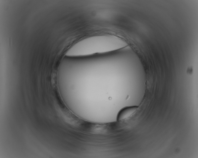 X0000093450175200710121013
