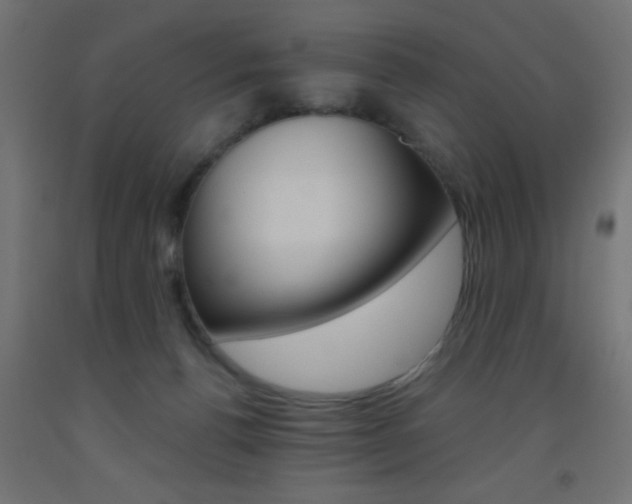 X0000093450176200710121013