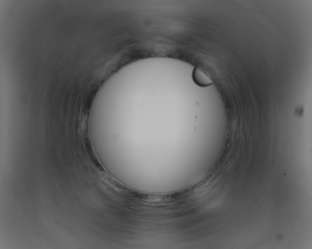 X0000093450177200710121013