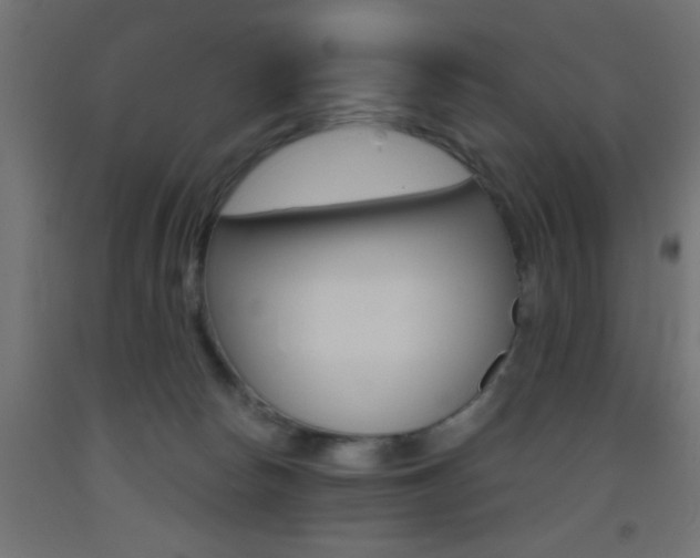 X0000093450178200710121013