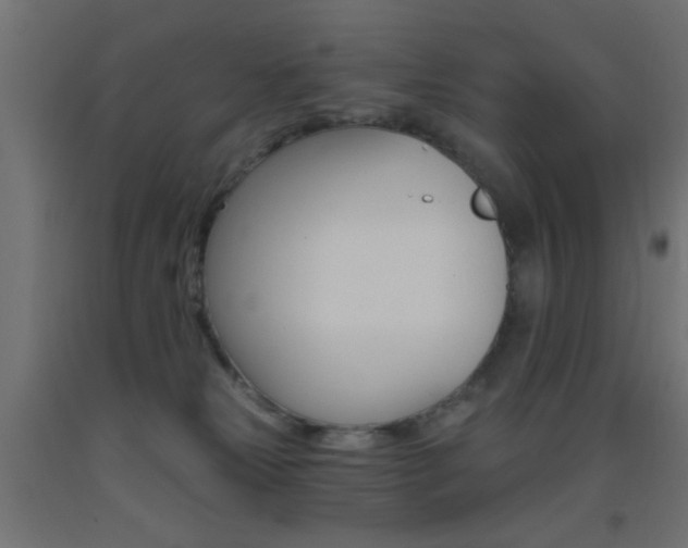 X0000093450181200710121013