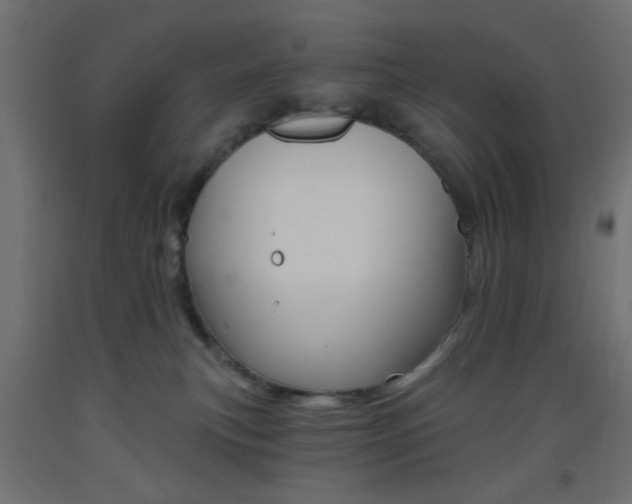 X0000093450183200710121013