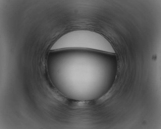 X0000093450184200710121013