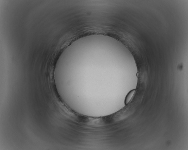 X0000093450185200710121013