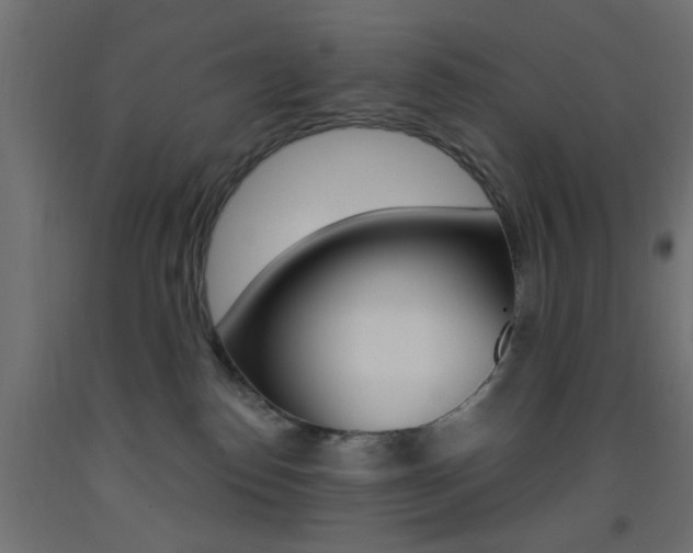 X0000093450186200710121013