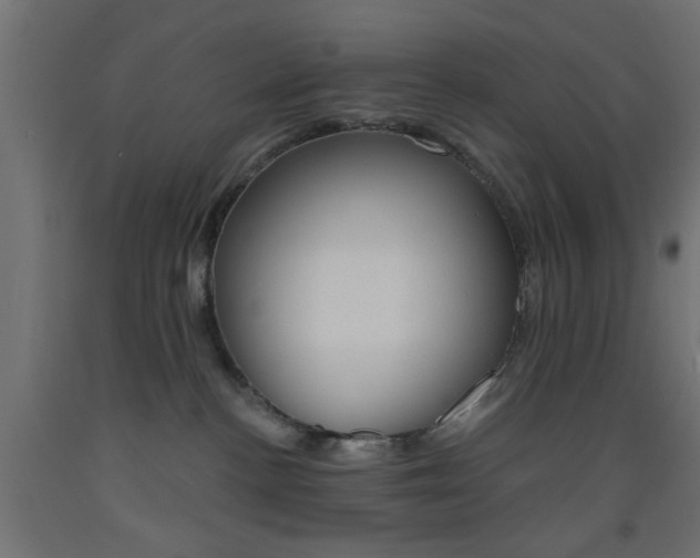 X0000093450188200710121013