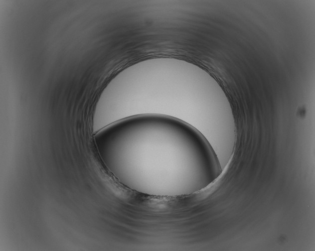 X0000093450190200710121013