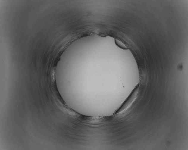 X0000093450191200710121013