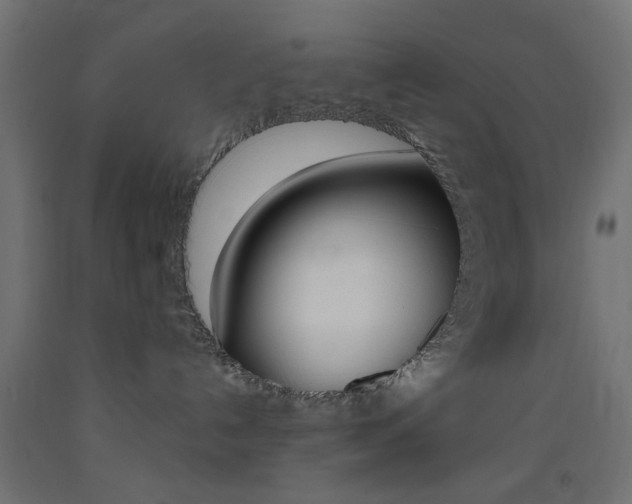 X0000093450192200710121013