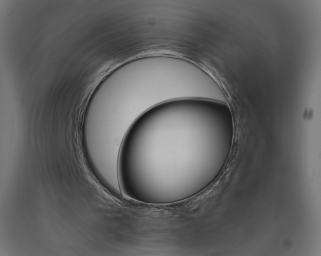 X0000093450193200710121013