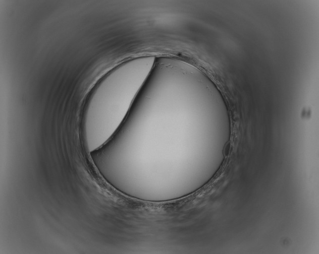 X0000093450194200710121013