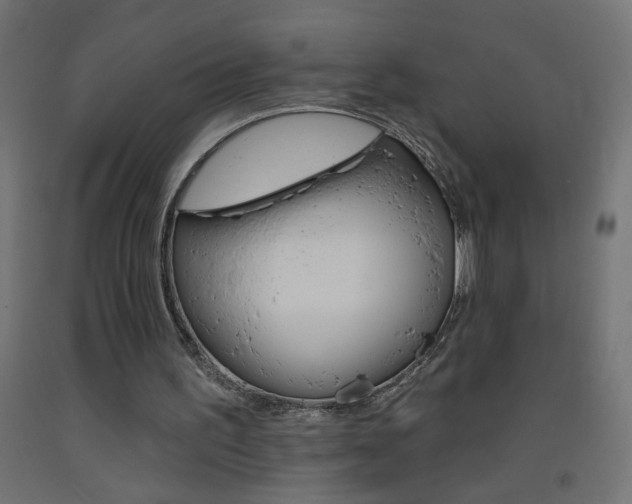 X0000093450195200710121013