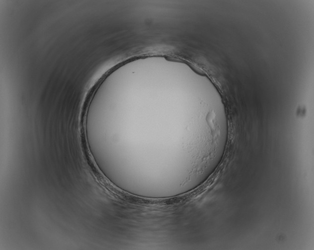 X0000093450196200710121013