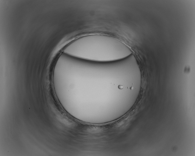 X0000093450198200710121013