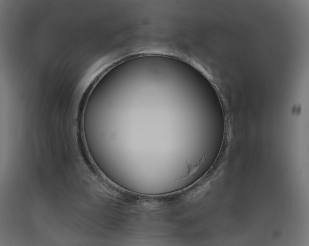 X0000093450199200710121013