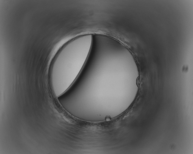 X0000093450200200710121013