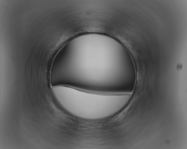 X0000093450201200710121012