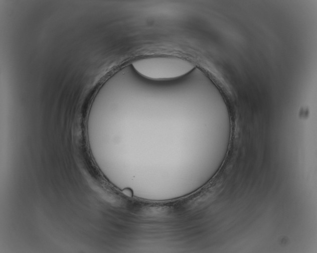X0000093450202200710121012