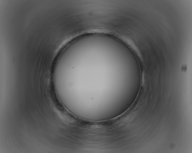 X0000093450204200710121012