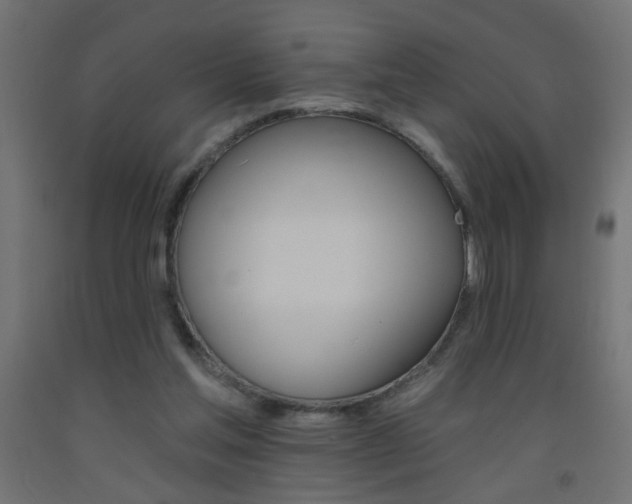 X0000093450205200710121012