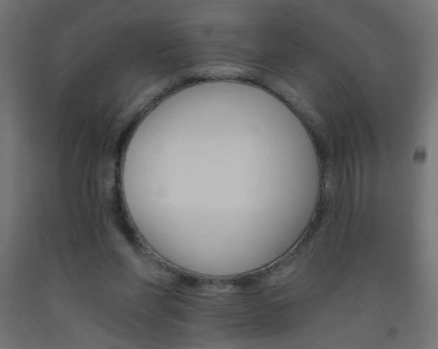 X0000093450206200710121012