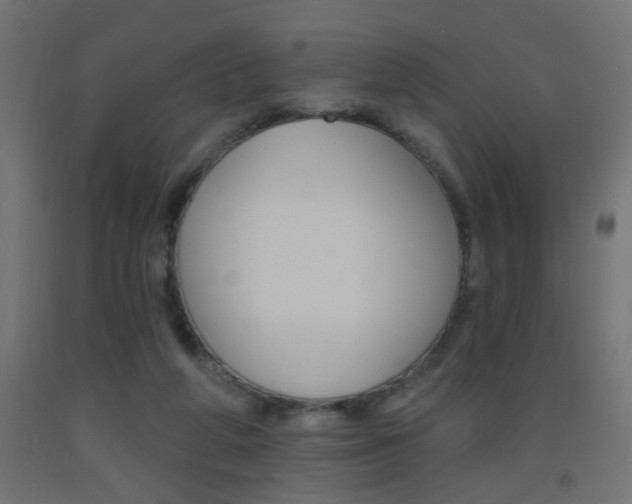 X0000093450210200710121012
