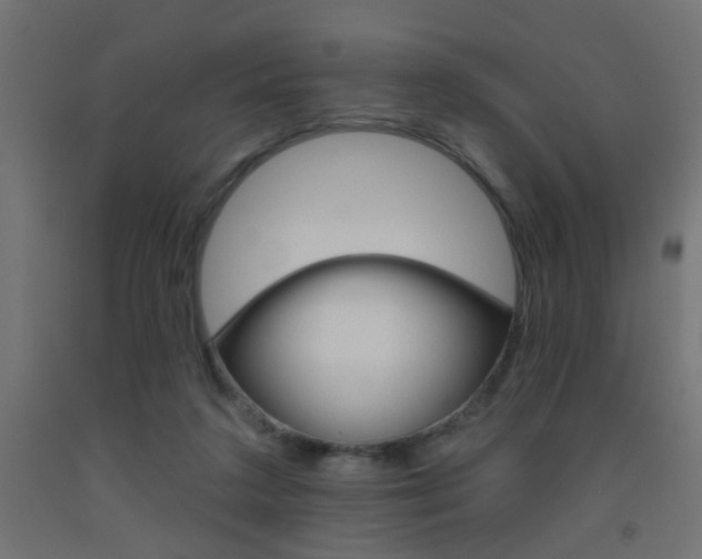 X0000093450211200710121012