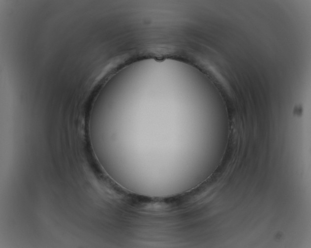 X0000093450212200710121012