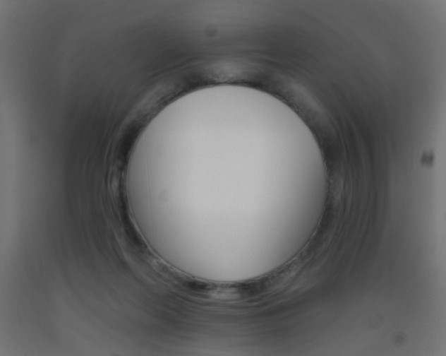 X0000093450214200710121012