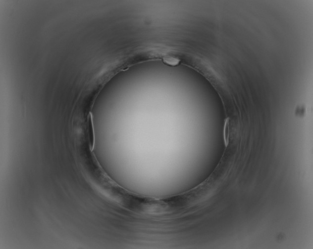 X0000093450215200710121012