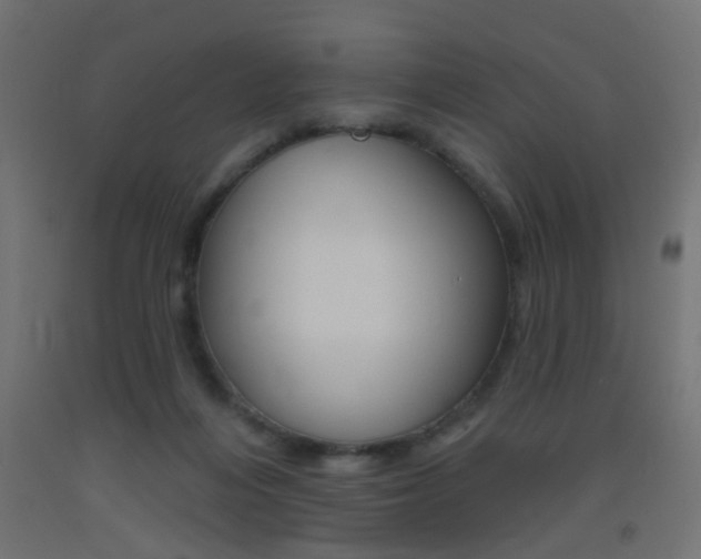 X0000093450216200710121012