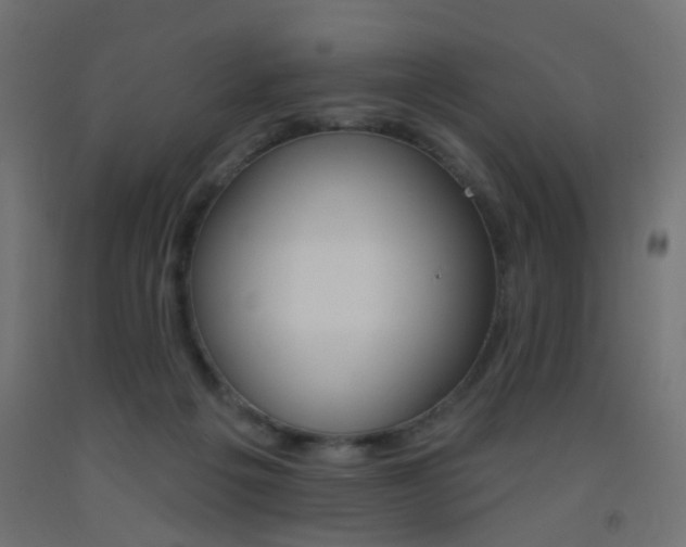 X0000093450217200710121012